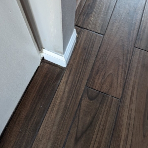 Photo of Spotless Clean SD