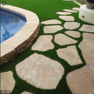 Photo of Ideal Turf