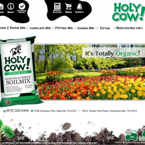 Photo of Nashville Website Design