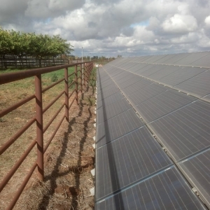 Photo of TEA Solar