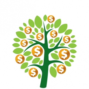 Photo of Branch Financial