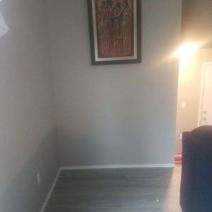 Photo of The Carpet Guys