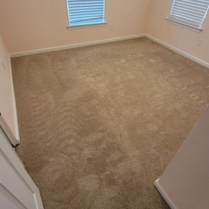 Photo of Davids Restore Carpet Cleaning