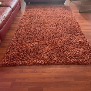 Photo of Davids Restore Carpet Cleaning