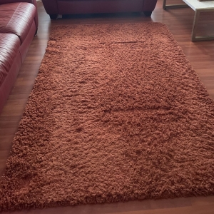 Photo of Davids Restore Carpet Cleaning