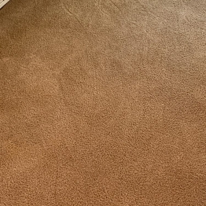 Photo of Davids Restore Carpet Cleaning