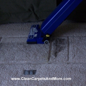 Photo of Clean Carpets & More