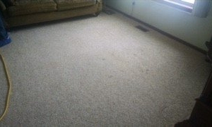 Photo of Clean Carpets & More