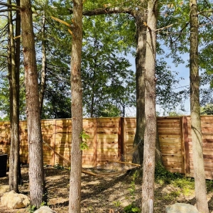 Photo of Progress Park Airstream Resort & Event Venue