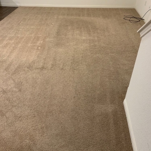 Photo of Americlean Carpet & Tile Restoration