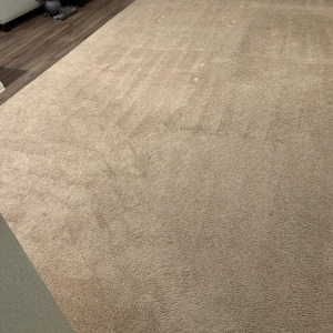 Photo of Americlean Carpet & Tile Restoration