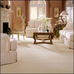 Photo of Carolina Wholesale Floors