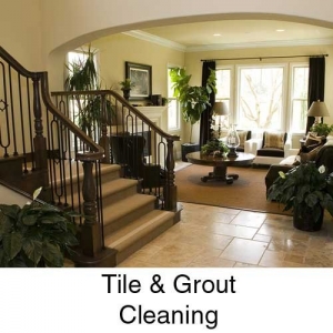 Photo of Dominion Management Surface Cleaning Specialist