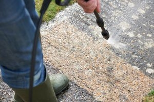 Photo of Dominion Management Surface Cleaning Specialist