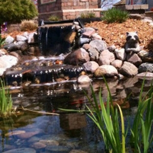 Photo of Kaldenberg's PBS Landscaping & Lawn Care