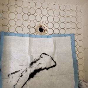 Photo of Tyler Cervantes Plumbing And Drain Services