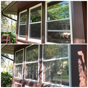 Lawrenceville Zander Windows
