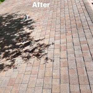 Photo of Nashville Pressure and Soft Wash