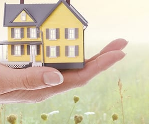 Florissant Able Insurance