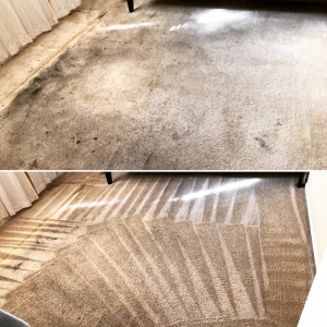 Photo of Carpet Steamers