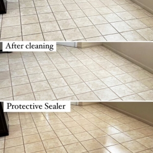 Photo of Carpet Steamers