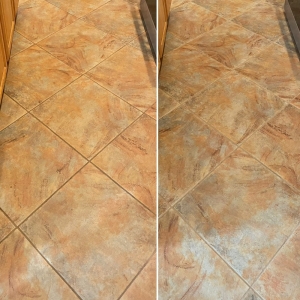 Photo of Carpet Steamers