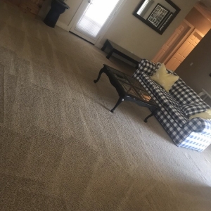Photo of The Carpet Repairman