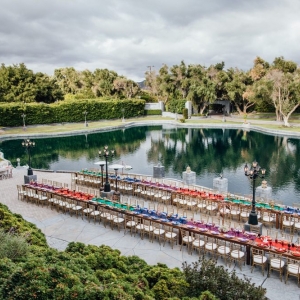 Photo of The Enchanted Forest
