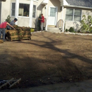 Photo of Long Island Sod