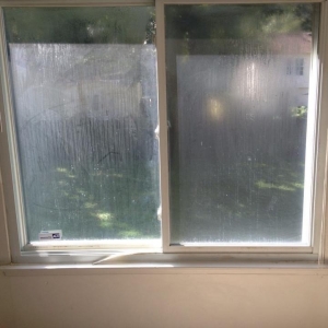 Photo of Window Doctors