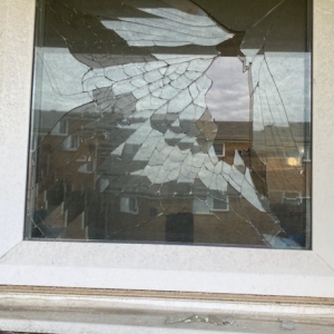 Photo of Window Doctors