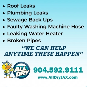 Photo of All Dry Services of SE Jacksonville