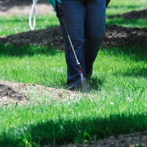 Photo of LSL Pressure Washing Services