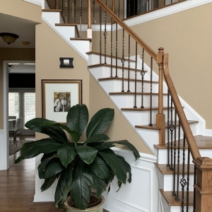 Photo of We Clean 4 U!