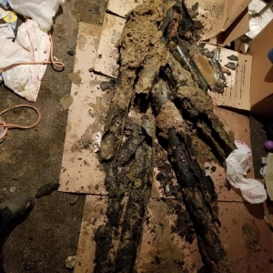 Photo of Metro-Rooter Plumbing Drain Cleaning Restoration