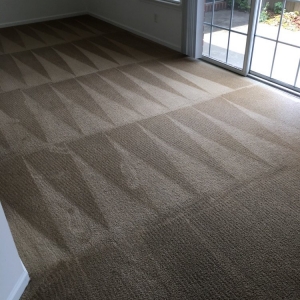 Photo of Allen's Dry-N-Clean Carpet Cleaning