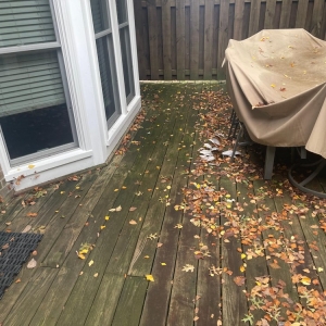Photo of Down the Stretch Exterior Cleaning
