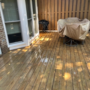 Photo of Down the Stretch Exterior Cleaning