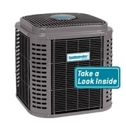 Photo of The Climate Doctor