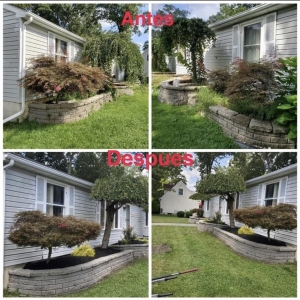 Photo of Ed's Landscaping and Hardscaping