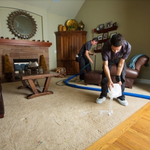 Photo of Tubro Carpet Cleaning