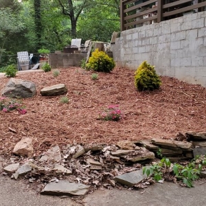 Photo of Tarheel Turf Lawn Care & Maintenance
