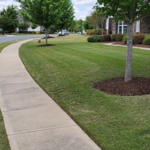 Photo of Tarheel Turf Lawn Care & Maintenance