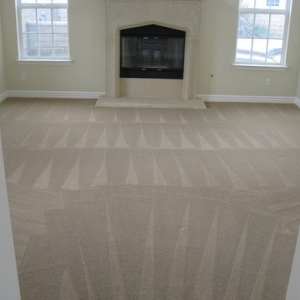 Photo of Patriot Carpet Cleaning