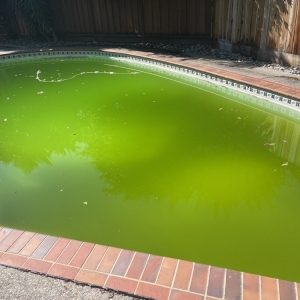 Pleasanton Pool Time