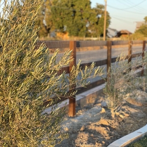Photo of Town and Country Fence