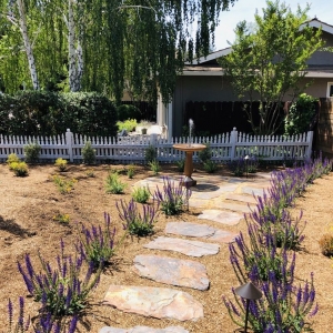 Benicia Simply Perfect Gardens