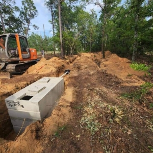 Photo of Overgrown Land Management