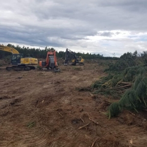 Photo of Overgrown Land Management