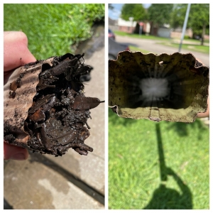 Photo of Texas Premier Pressure Washing